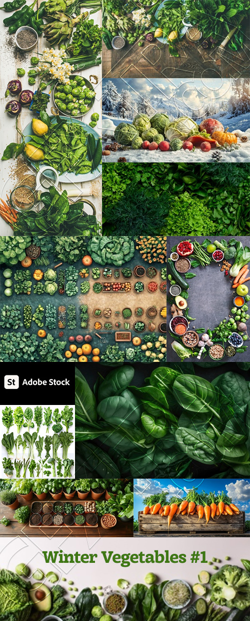 Winter Vegetables #1, 26xJPEG 1xAI