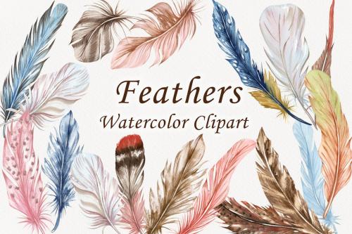 Watercolor Feathers clipart. Birds feather set