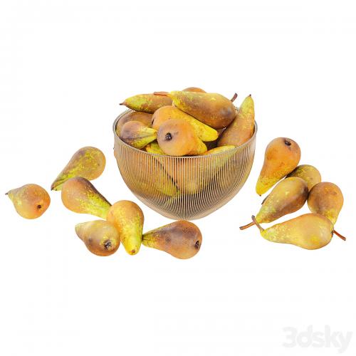 Pear Conference in Decorative Metal Vase