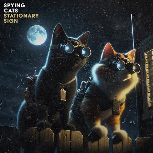 Epidemic Sound - Spying Cats - Wav - Fto3c3e7Gg