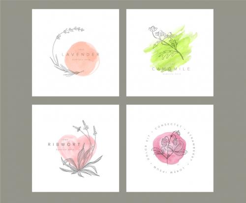 Minimalist Ink Floral Logo Title Frames Collection with Watercolor Spots - 462310219