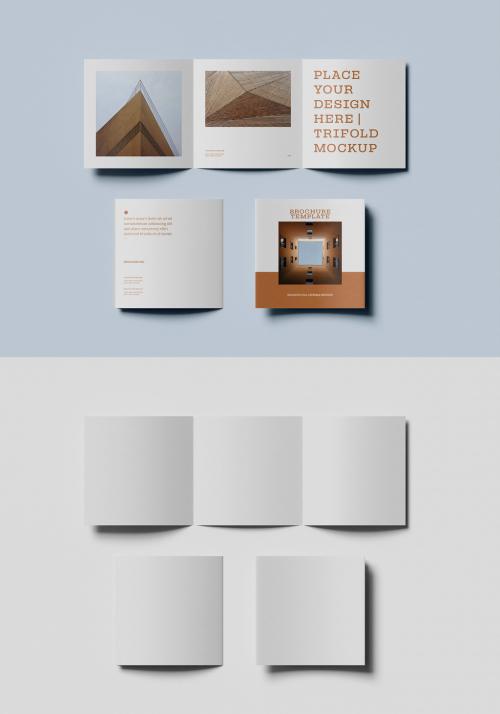Three Brochure Design Mockup - 462310514