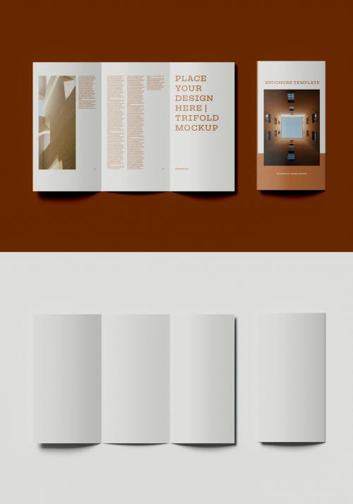 Two Business Brochure Layout Mockup - 462310809