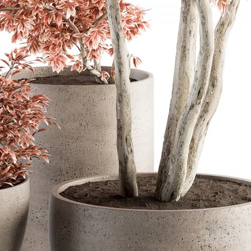 Outdoor Plant Set 359 - Pink Plant Set in Concrete Pot