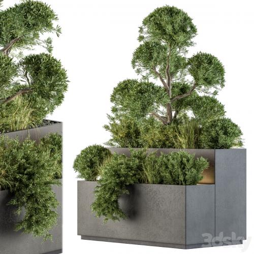Outdoor Plant Set 214 - Plant Box