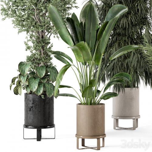 Indoor Plants in Ferm Living Bau Pot Large - Set 474