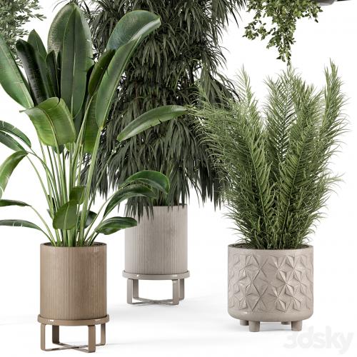 Indoor Plants in Ferm Living Bau Pot Large - Set 474