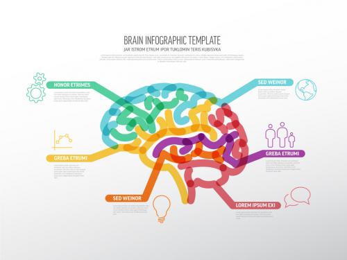 Multipurpose Thick Line Infographic Layout with Human Brain - 464344244