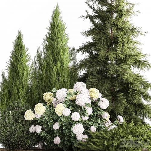 Garden of spruce, pine, topiary, white hydrangea bush, flowers, juniper, alpine hill. Plant set 1181