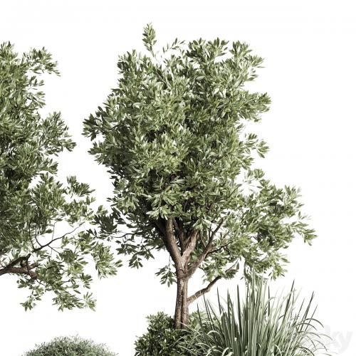 Collection indoor outdoor plant 120 plant tree grass vase dirty concrete