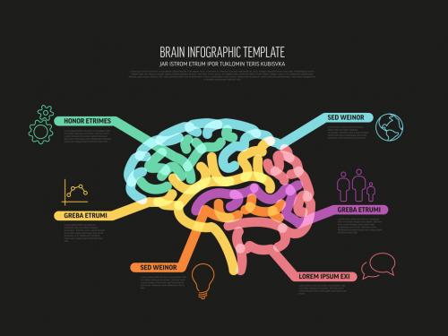 Multipurpose Thick Line Infographic Dark Template with Human Brain - 465850514