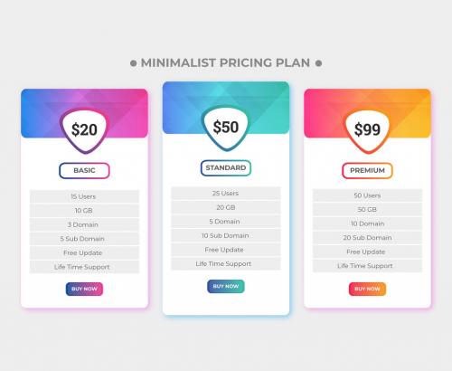 Pricing Plane Design Pricing Infographic - 467237329