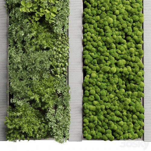 Concrete frame Vertical garden plant and moss garden wall decor box 66