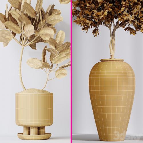 Elastica Abidjan Melany and Mission Olive Tree Vase 18