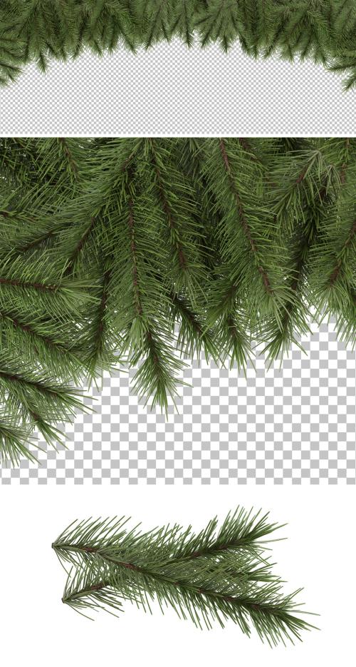 Christmas Branch Pine Tree Isolated Mockup - 470735547