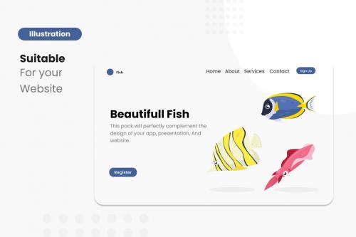 Fish Illustrations Collections