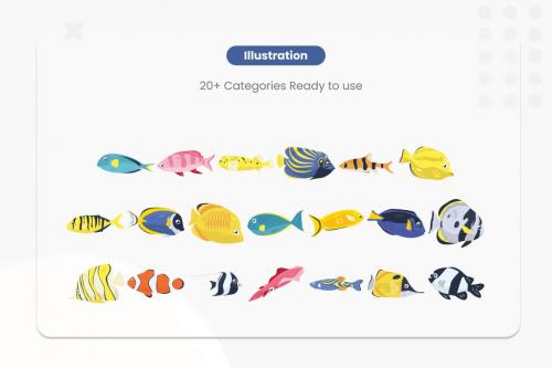 Fish Illustrations Collections