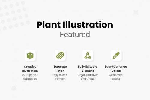 Plant Illustrations Collections