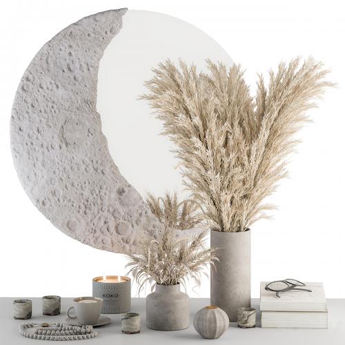 Decorative Set moon mirror with Dried Plant - Set 100