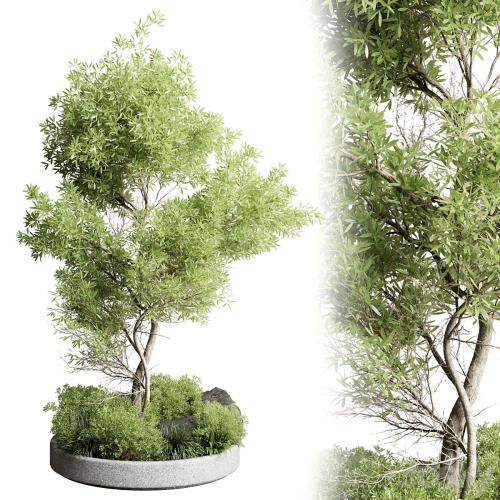 Collection outdoor indoor 85 pot plant & tree & bush