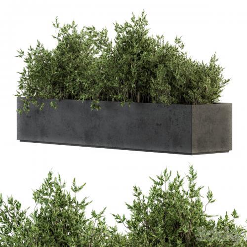 Outdoor Plants tree in Concrete Box - Set 126