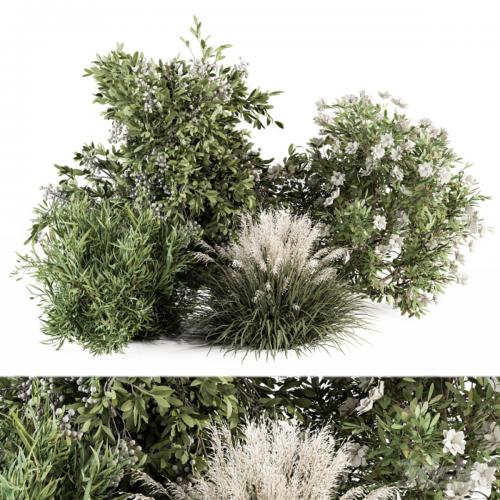 Mixed Plant Bush - Bush Set 49