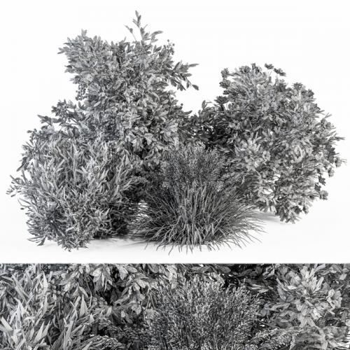Mixed Plant Bush - Bush Set 49