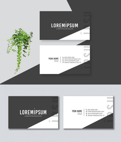 Black and White Business Card - 472895268