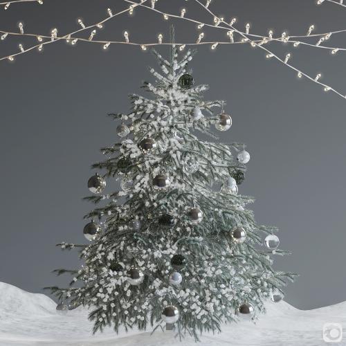 Christmas Tree 14. Corona