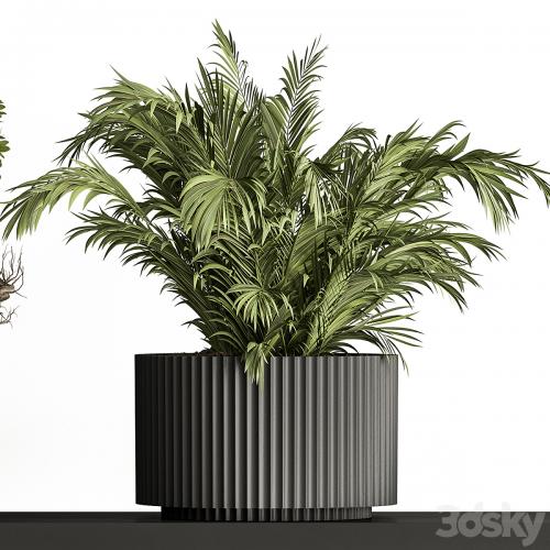 indoor Plant Set 402 - Small Plant pot