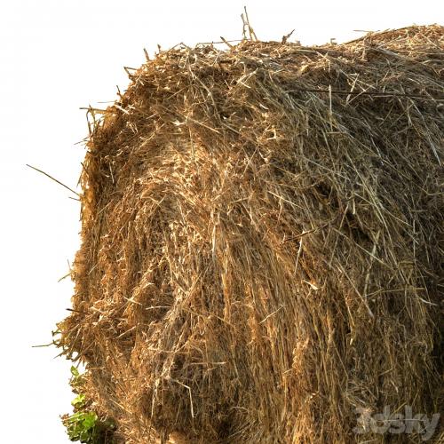 Round bale of hay