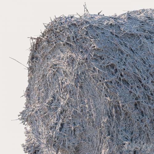 Round bale of hay