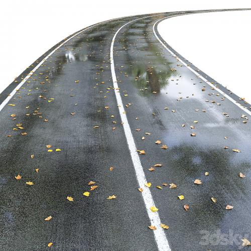 Wet road with markings. Autumn
