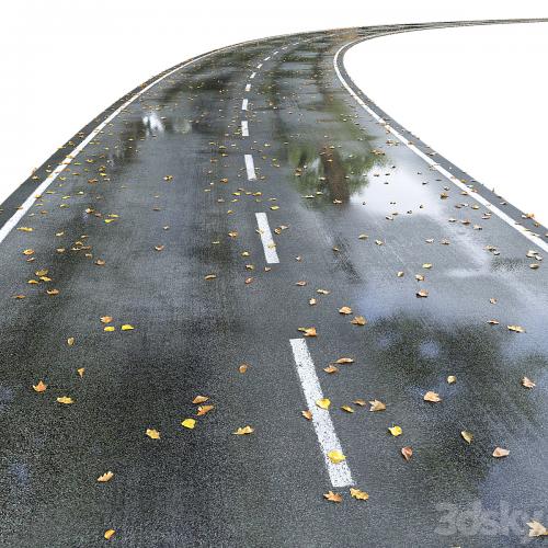Wet road with markings. Autumn