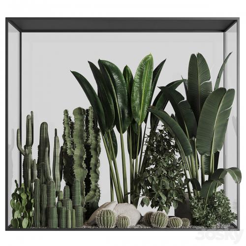 Plants behind glass 02