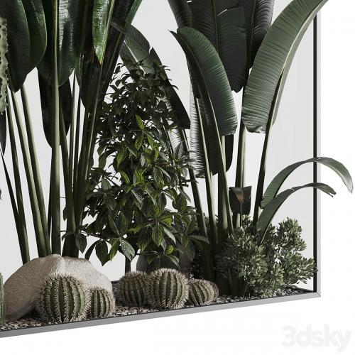 Plants behind glass 02