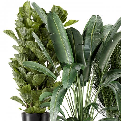 Indoor Plants in Ferm Living Bau Pot Large - Set 273