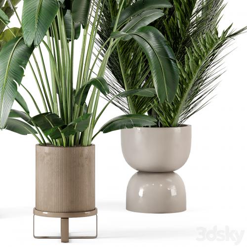 Indoor Plants in Ferm Living Bau Pot Large - Set 273