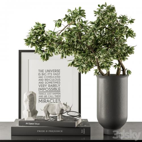 Black and Green Decorative Set with Plants - Set 77