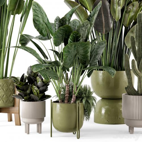 Indoor Plants in Standing Legs Small Bowl Concrete Pot - Set 563