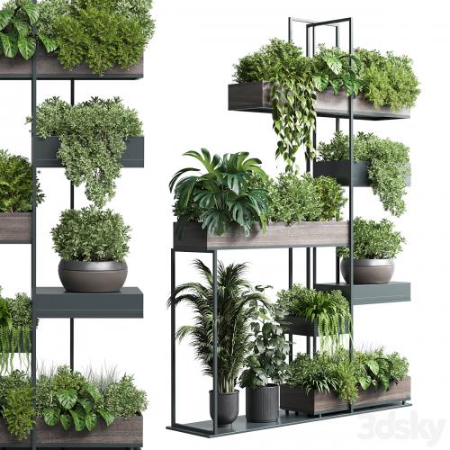 Standing metal shelf with a set of plants in wooden and metal boxes 267