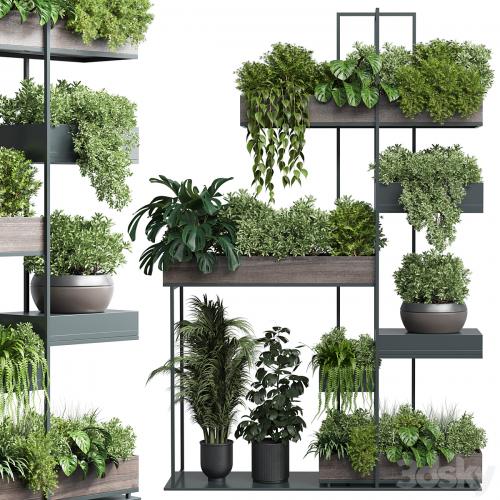 Standing metal shelf with a set of plants in wooden and metal boxes 267