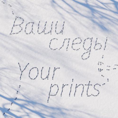 Prints in the snow