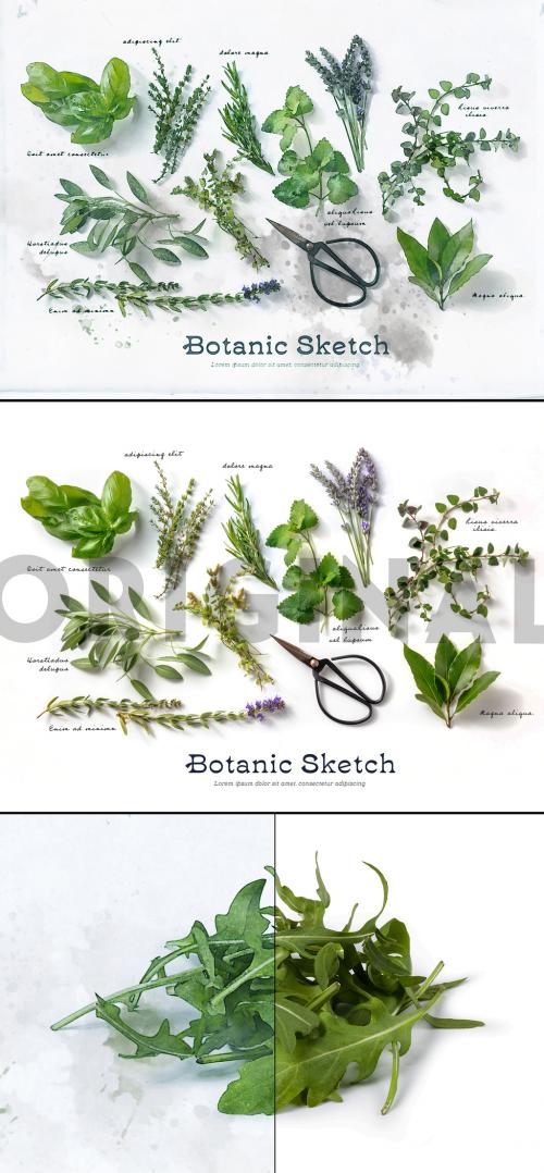 Botanic Watercolor Drawing Effect - 478396776