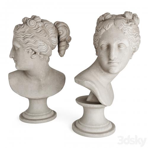 Venus classic bust