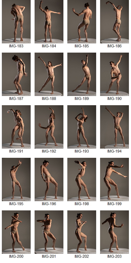 Artstation - 1700+ Complex Male Dancer Poses