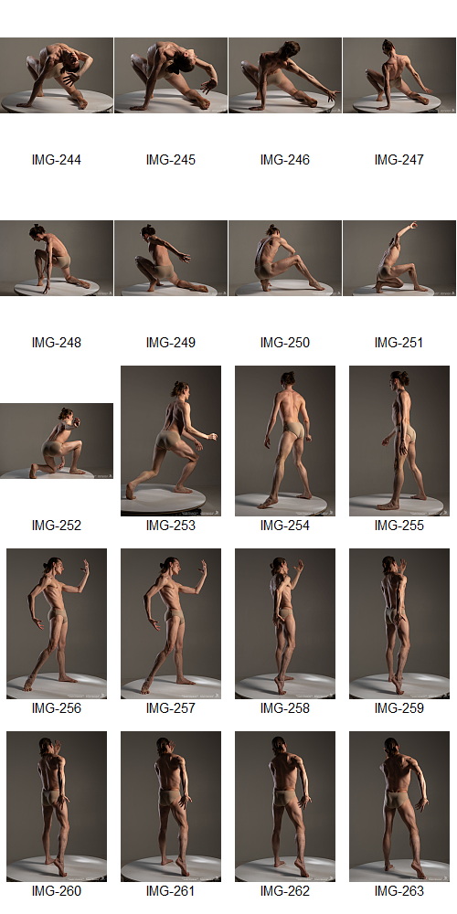 Artstation - 1700+ Complex Male Dancer Poses