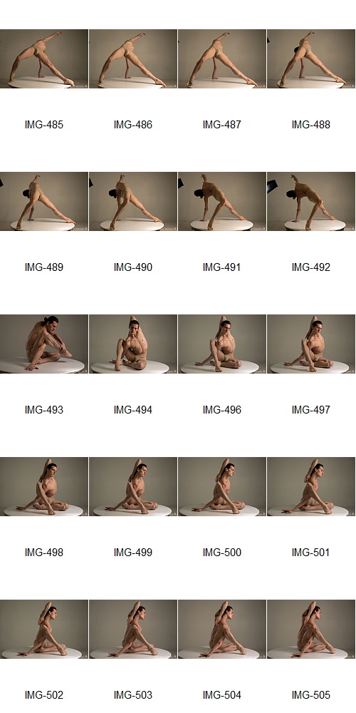 Artstation - 1700+ Complex Male Dancer Poses