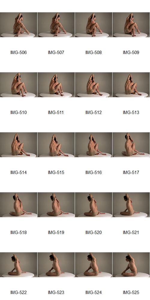 Artstation - 1700+ Complex Male Dancer Poses