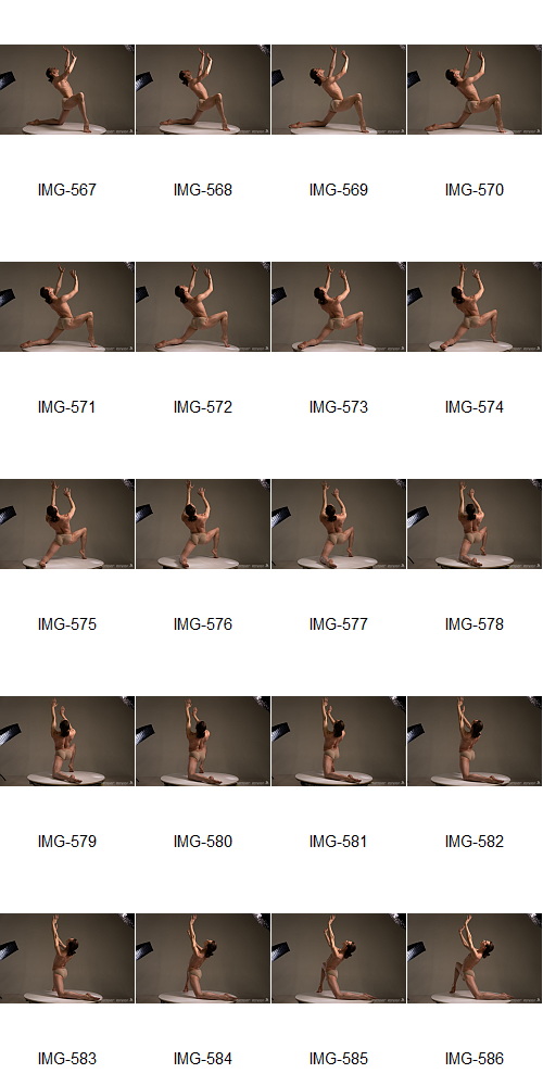 Artstation - 1700+ Complex Male Dancer Poses